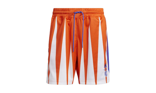 Hoops Summer Essentials Shorts "Eric Emanuel Team Orange" H56397