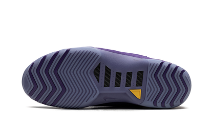 Air Zoom Generation "Court Purple" FJ0667 500