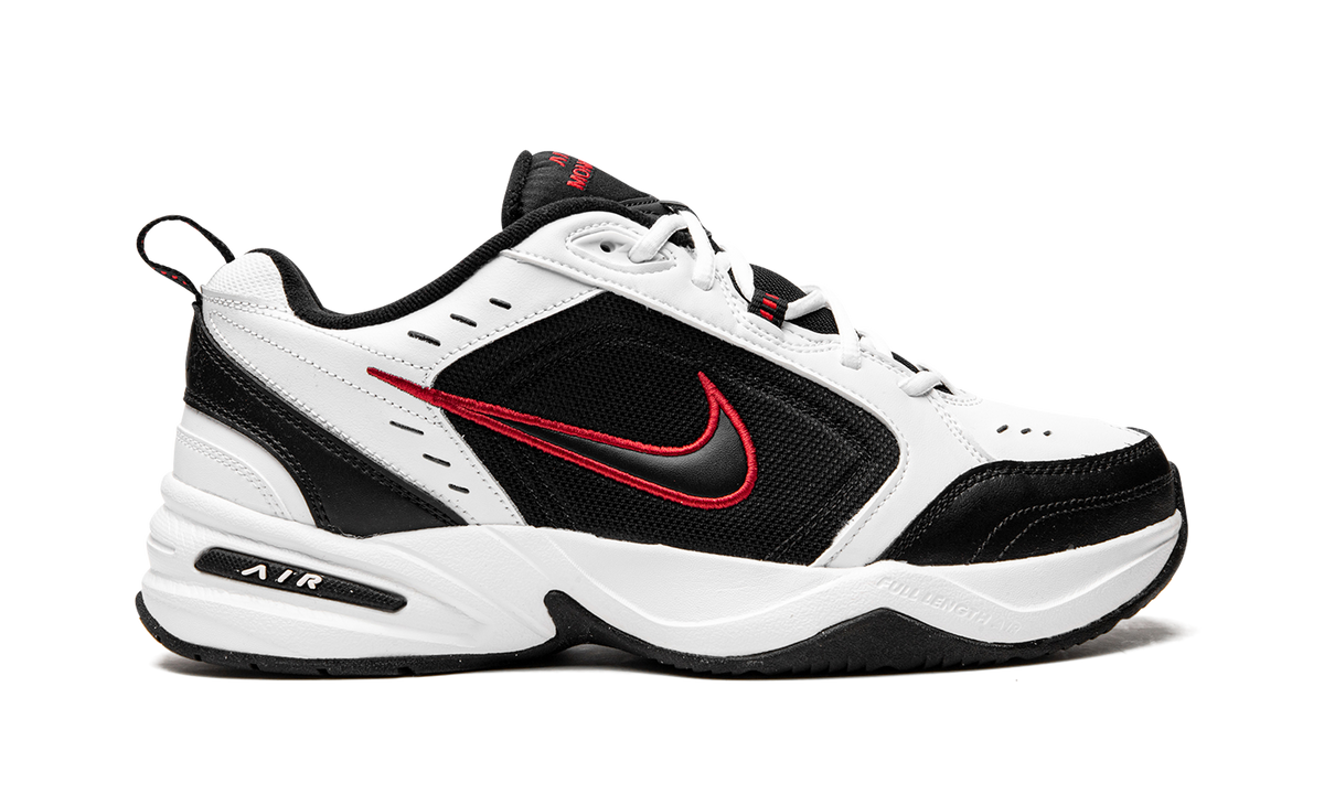 AIR MONARCH IV 415445 101