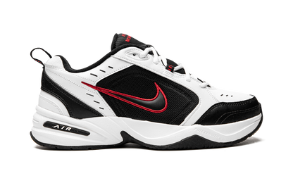 AIR MONARCH IV 415445 101