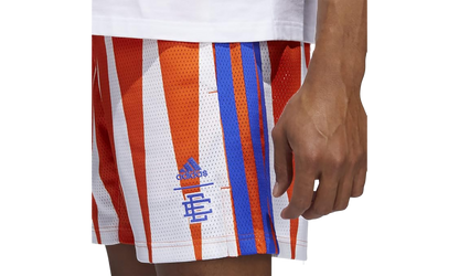 Hoops Summer Essentials Shorts "Eric Emanuel Team Orange" H56397