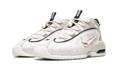 Air Max Penny 1 "Social Status - Desert Sand" DM9130 100