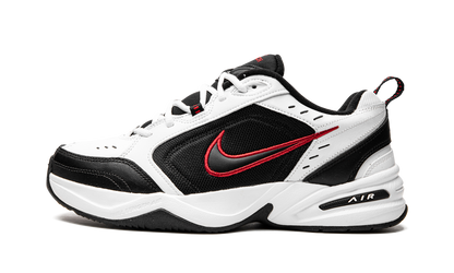 AIR MONARCH IV 415445 101