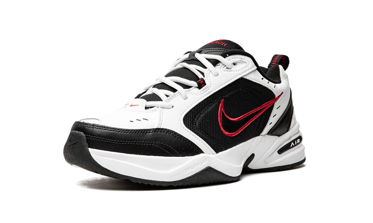AIR MONARCH IV 415445 101