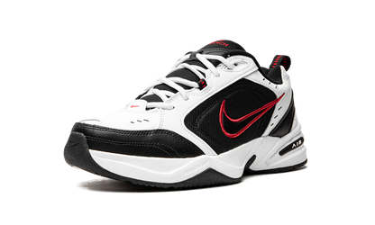 AIR MONARCH IV 415445 101