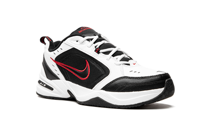 AIR MONARCH IV 415445 101