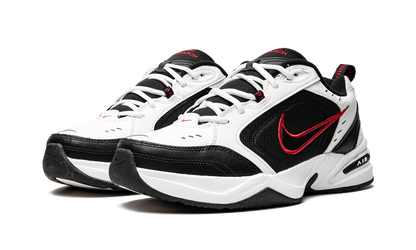 AIR MONARCH IV 415445 101